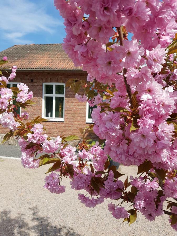 Horlinge Guesthouse Finja Exteriér fotografie